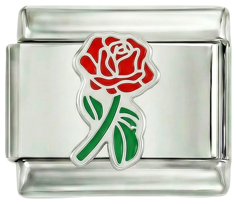 Rosa roja entera con su tallo verde