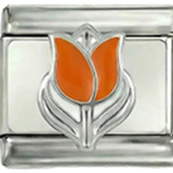 Tulipán neerlandés