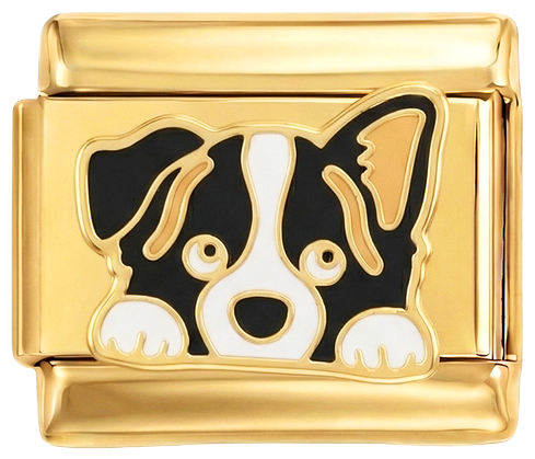 Imagen de diapositiva