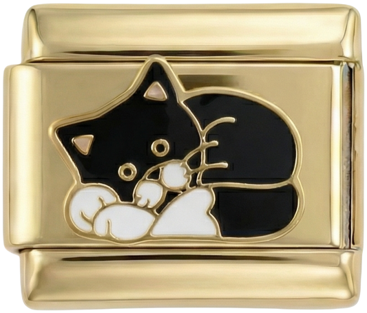 Black & White Cat Laying Down on Gold - black-white-cat-laying-down-on-gold.png