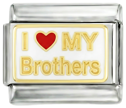 I love my brothers, on Silver - i-love-my-brother-on-silver.png