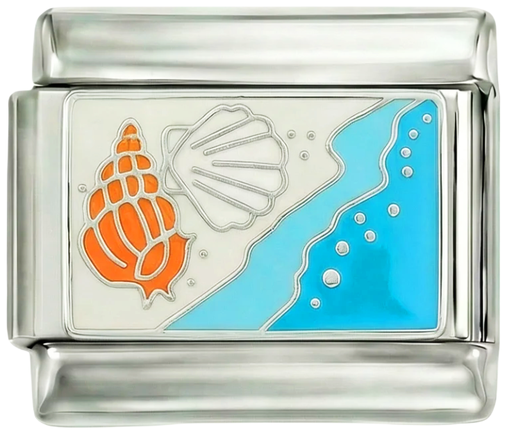 Shells at the Beach on White Sand - shells-at-the-beach-on-white-sand.png