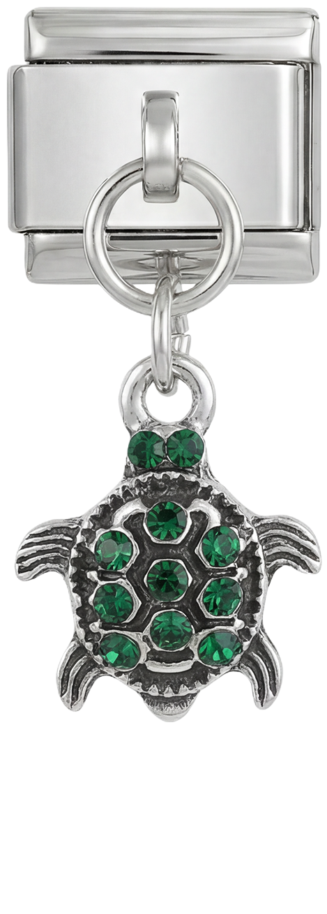 Turtle with Green Stones - turtle-with-green-stones.png